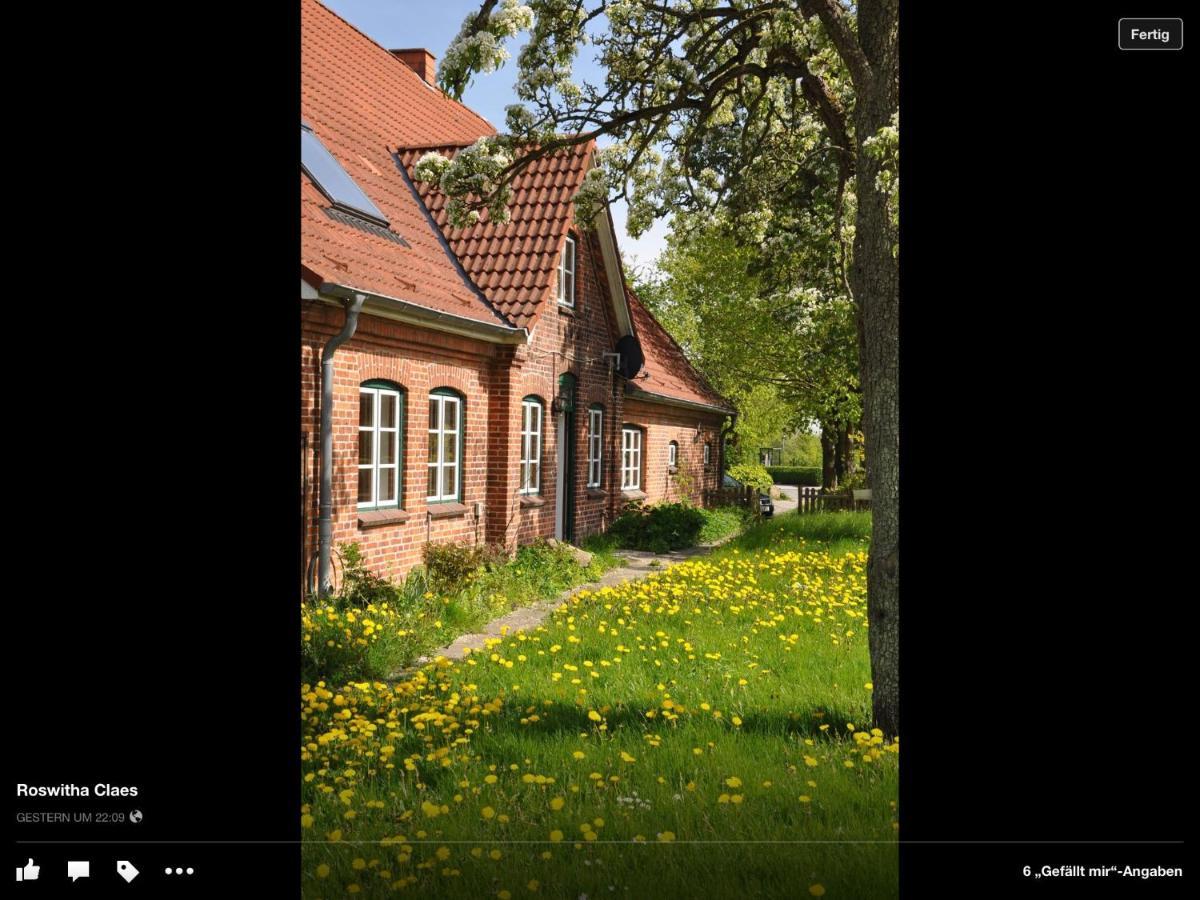 Landhaus Hohenfelde Hohenfelde  Exterior foto